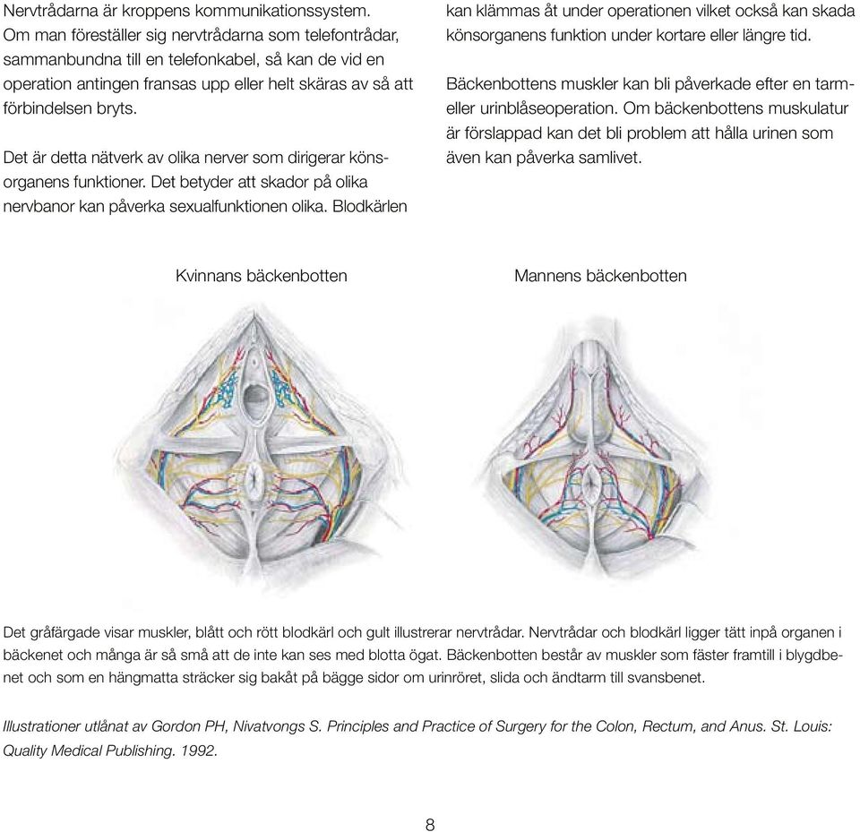 Det är detta nätverk av olika nerver som dirigerar könsorganens funktioner. Det betyder att skador på olika nervbanor kan påverka sexualfunktionen olika.