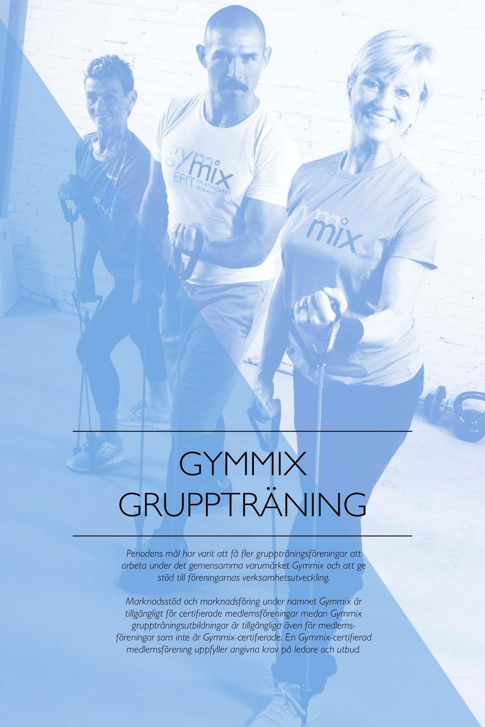 Marknadsstöd och marknadsföring under namnet Gymmix är tillgängligt för certifierade medlemsföreningar medan Gymmix