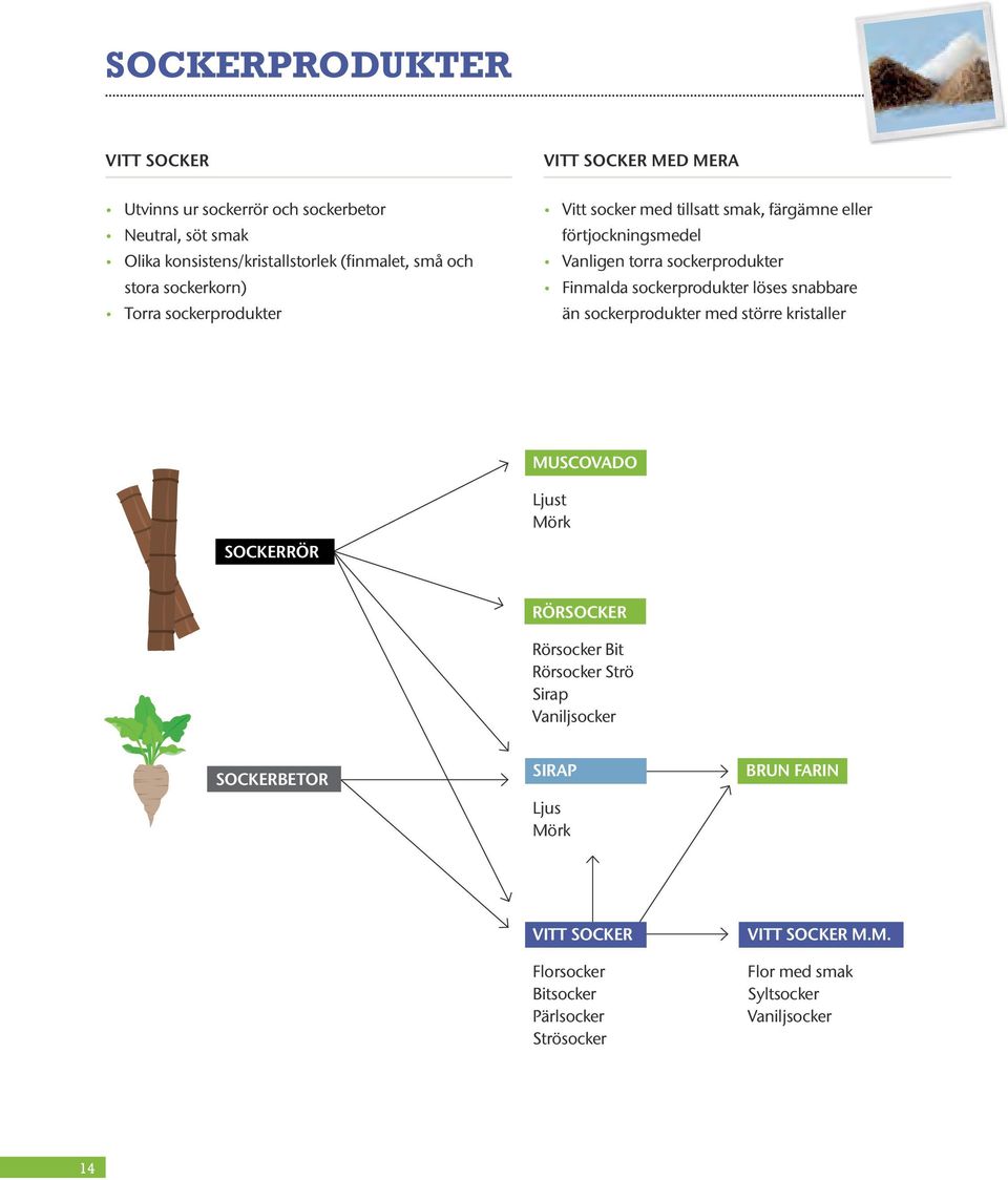 sockerprodukter löses snabbare än sockerprodukter med större kristaller MUSCOVADO SOCKERRÖR Ljust Mörk RÖRSOCKER Rörsocker Bit Rörsocker Strö Sirap