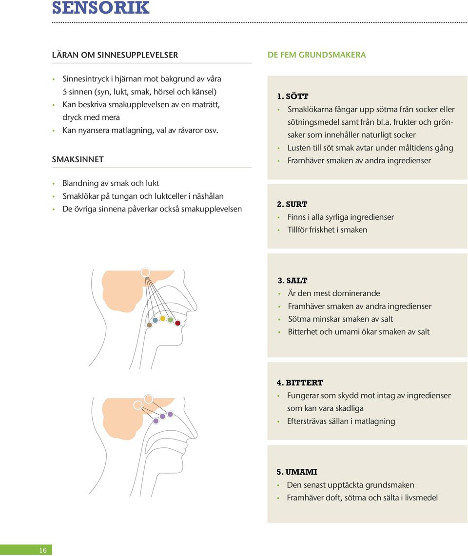 SÖTT Smaklökarna fångar upp sötma från socker eller sötningsmedel samt från bl.a. frukter och grönsaker som innehåller naturligt socker Lusten till söt smak avtar under måltidens gång Framhäver smaken av andra ingredienser 2.