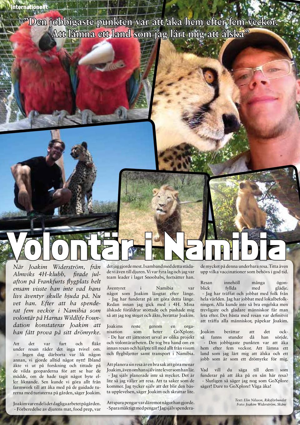 skulle bjuda på. Nu vet han. Efter att ha spenderat fem veckor i Namibia som volontär på Harnas Wildlife Foundation konstaterar Joakim att han fått prova på sitt drömyrke.