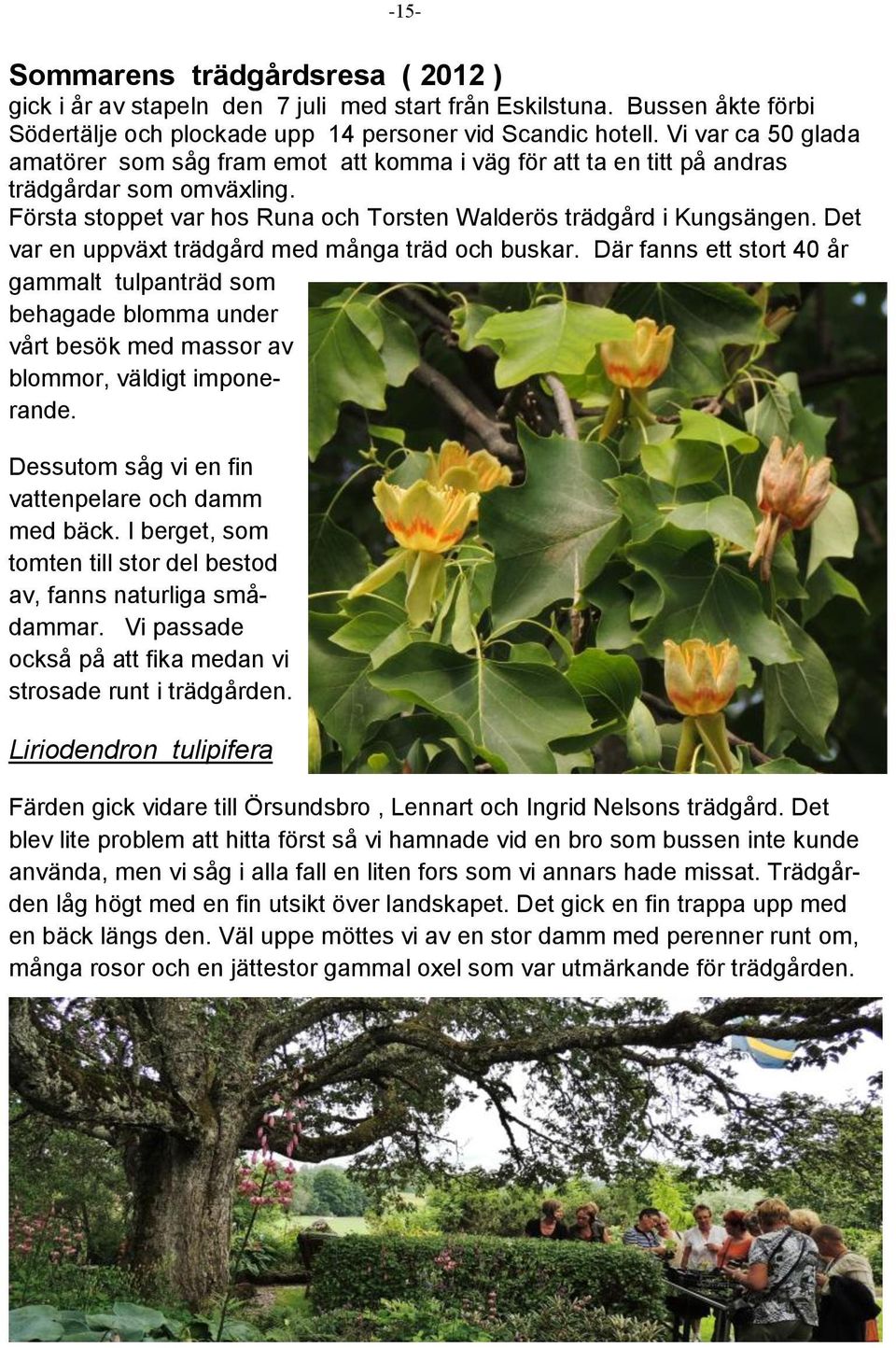 Det var en uppväxt trädgård med många träd och buskar. Där fanns ett stort 40 år gammalt tulpanträd som behagade blomma under vårt besök med massor av blommor, väldigt imponerande.