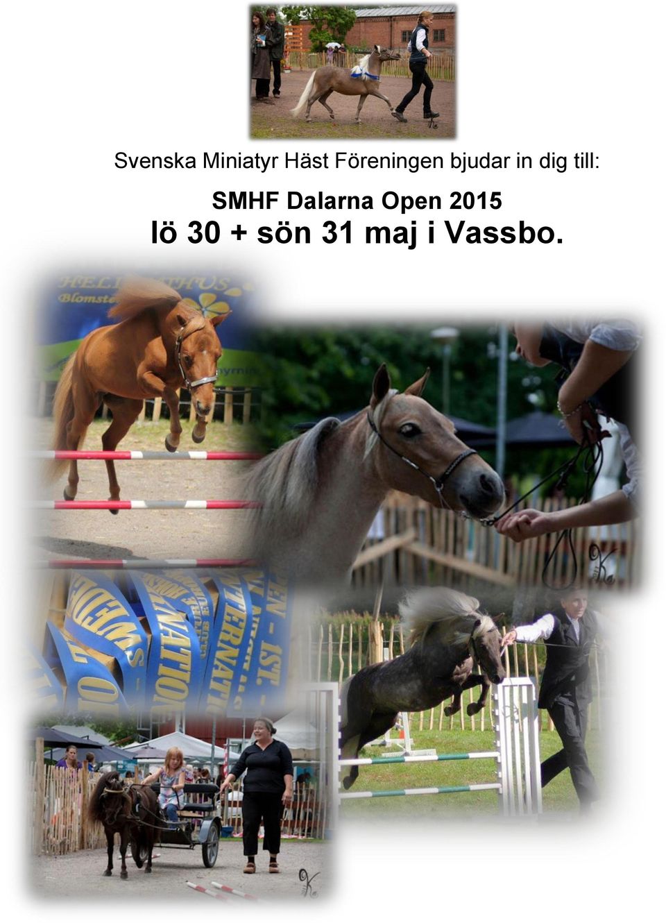 till: SMHF Dalarna Open