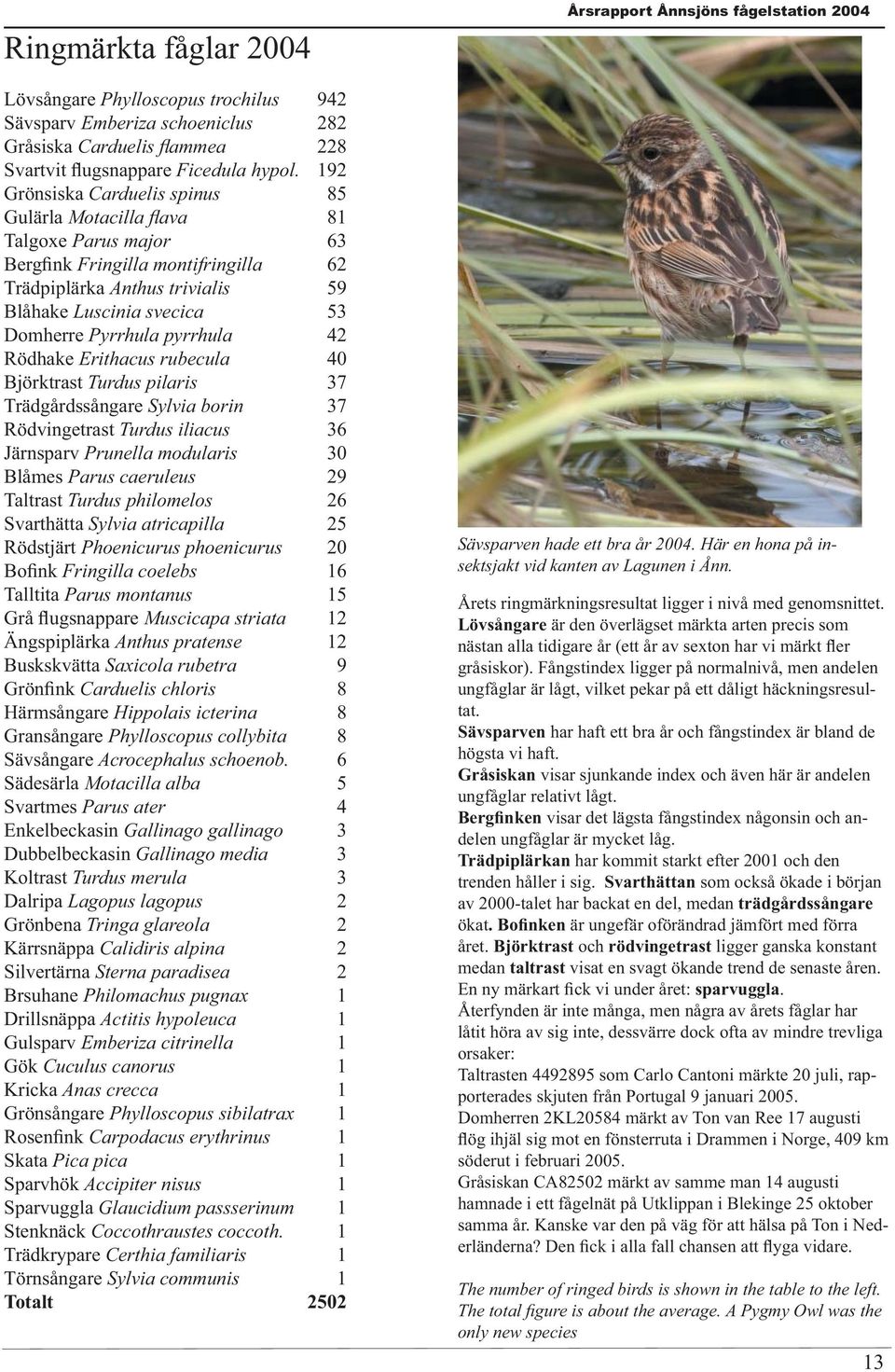 Pyrrhula pyrrhula 42 Rödhake Erithacus rubecula 4 Björktrast Turdus pilaris 37 Trädgårdssångare Sylvia borin 37 Rödvingetrast Turdus iliacus 36 Järnsparv Prunella modularis 3 Blåmes Parus caeruleus