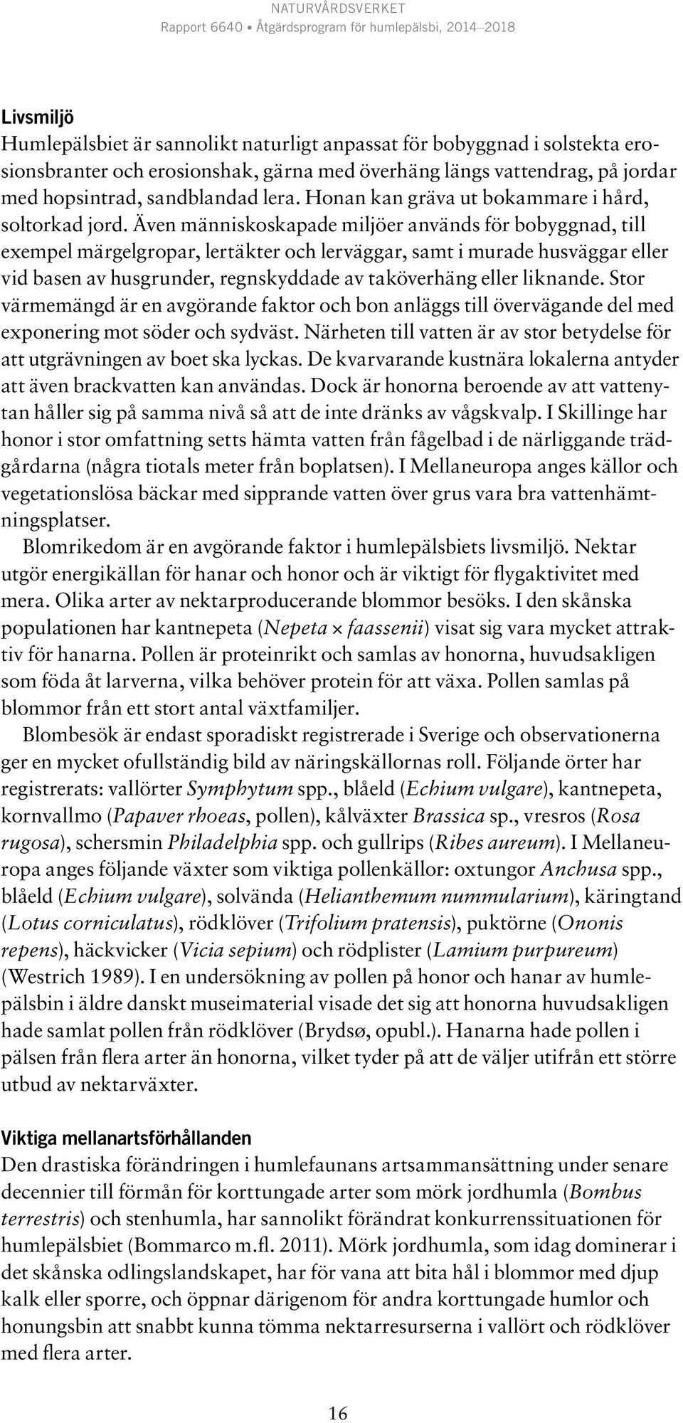 Även människoskapade miljöer används för bobyggnad, till exempel märgelgropar, lertäkter och lerväggar, samt i murade husväggar eller vid basen av husgrunder, regnskyddade av taköverhäng eller