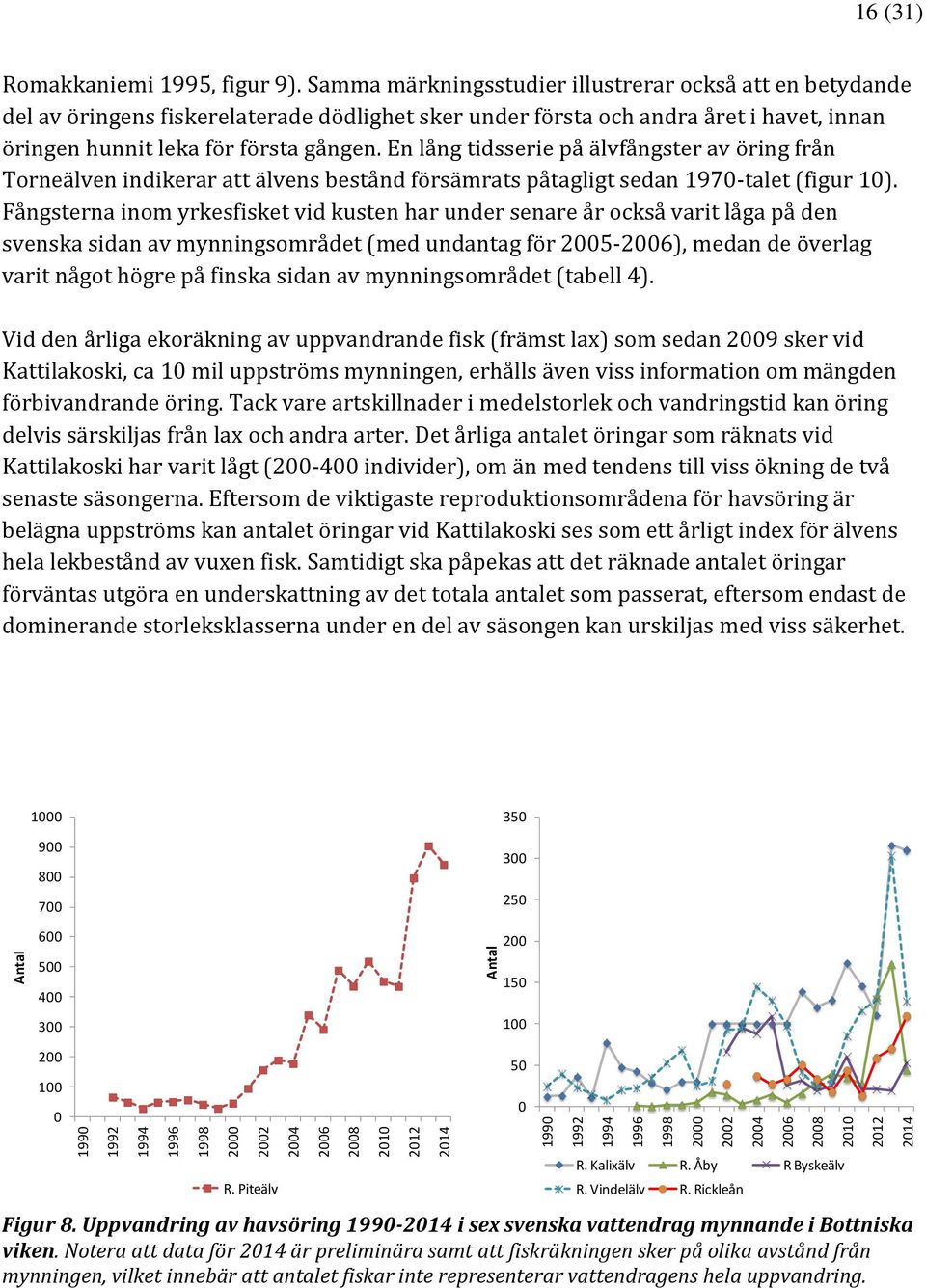 En lång tidsserie på älvfångster av öring från Torneälven indikerar att älvens bestånd försämrats påtagligt sedan 197-talet (figur 1).