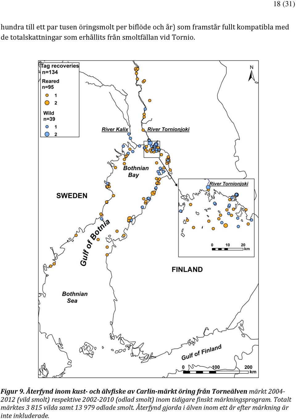 Återfynd inom kust- och älvfiske av Carlin-märkt öring från Torneälven märkt 24-212 (vild smolt) respektive 22-21