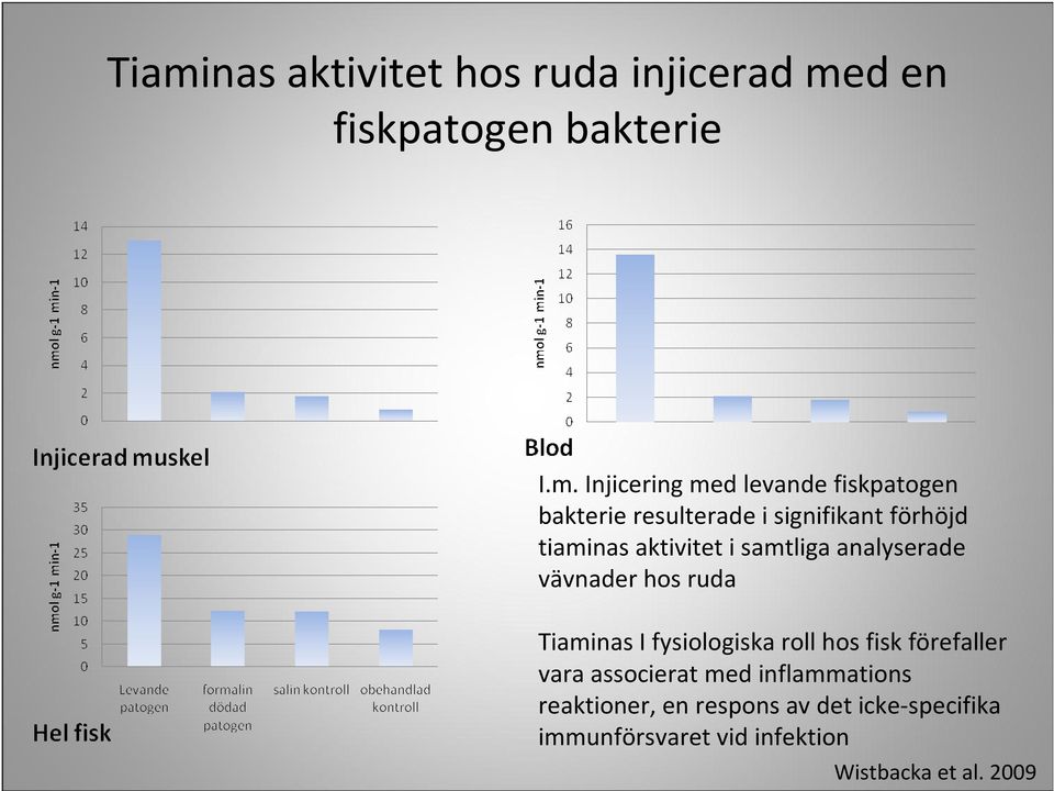 vävnader hos ruda Tiaminas I fysiologiska roll hos fisk förefaller vara associerat med