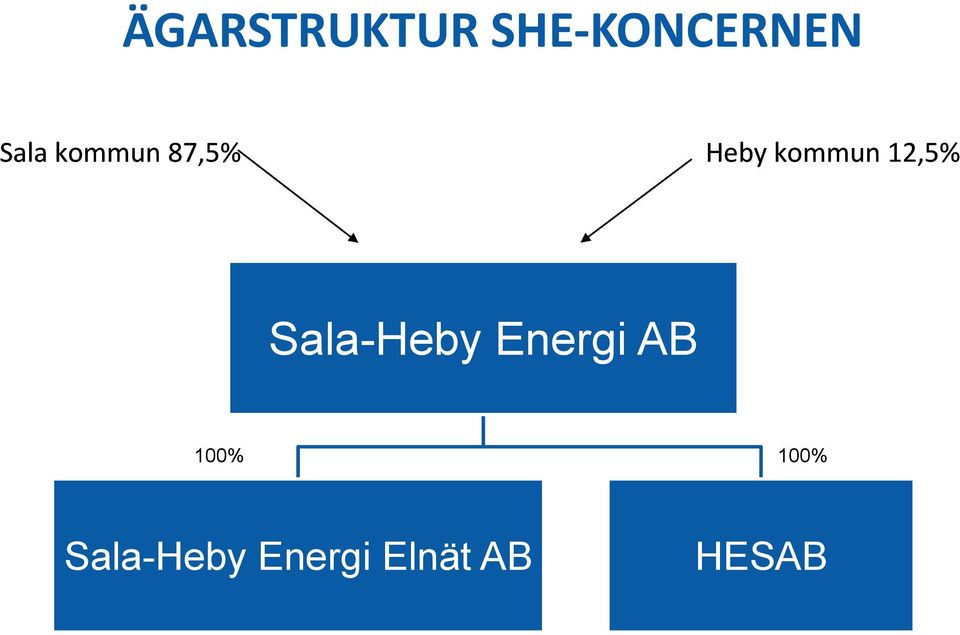 12,5% Sala-Heby Energi AB 100%