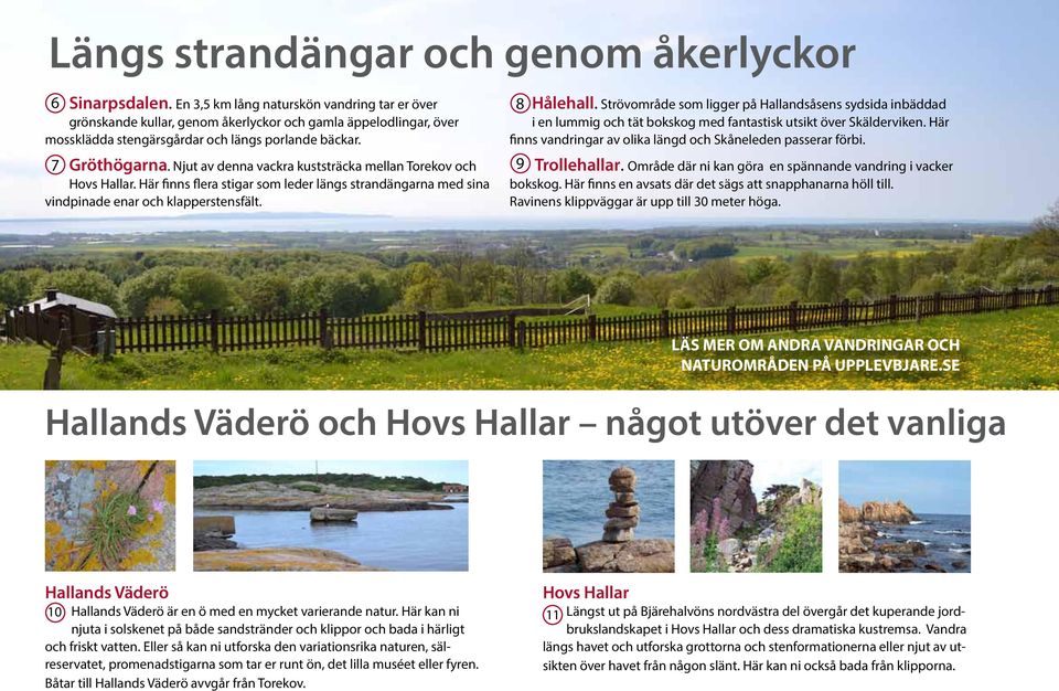 Njut av denna vackra kuststräcka mellan Torekov och Hovs Hallar. Här finns flera stigar som leder längs strandängarna med sina vindpinade enar och klapperstensfält. 8 Hålehall.