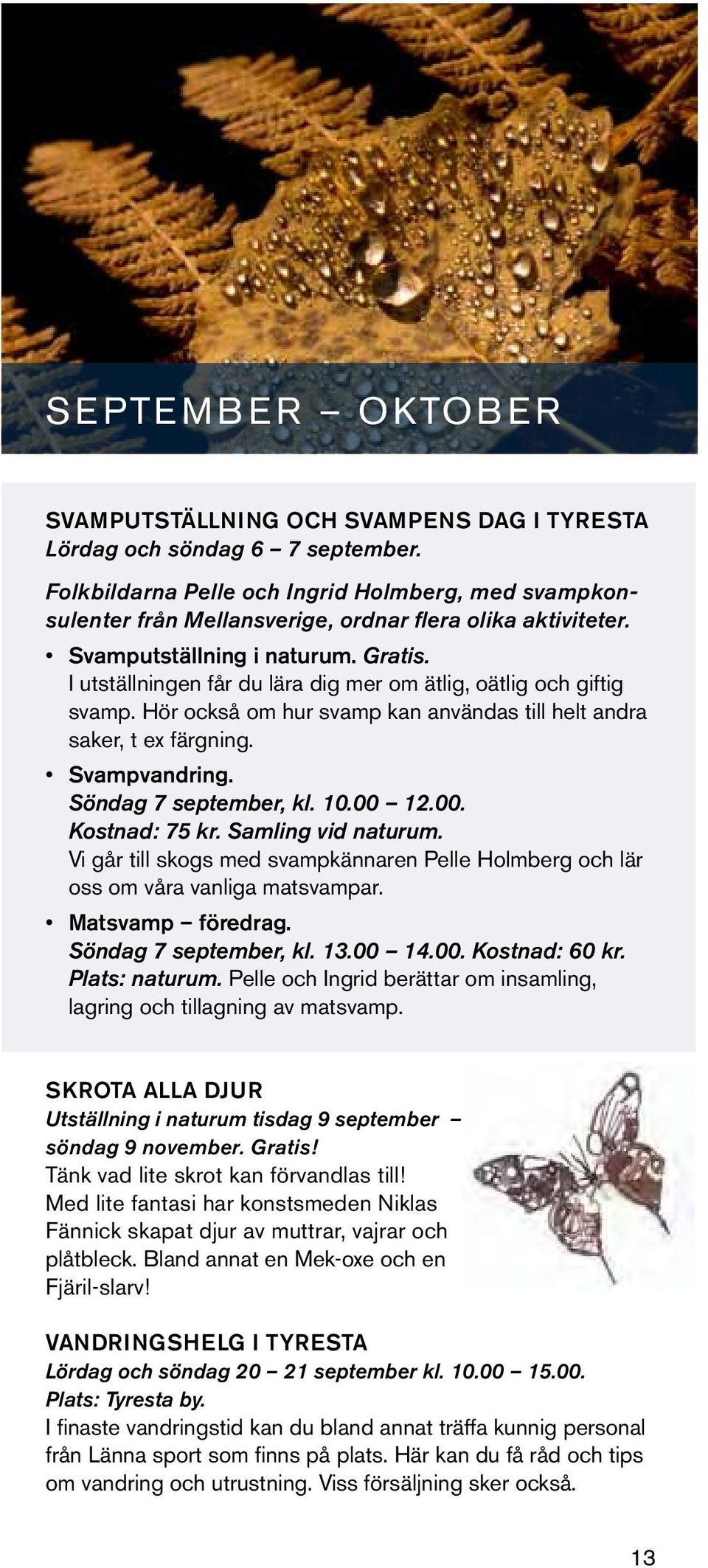 I utställningen får du lära dig mer om ätlig, oätlig och giftig svamp. Hör också om hur svamp kan användas till helt andra saker, t ex färgning. Svampvandring. Söndag 7 september, kl. 10.00 