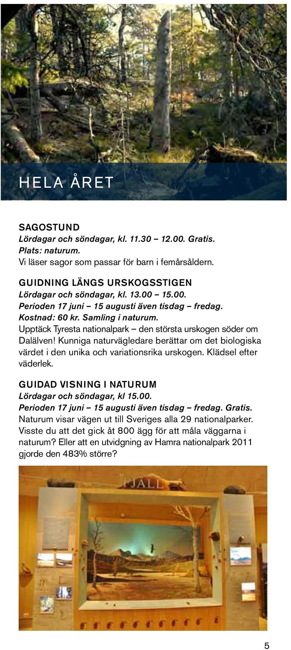 Kunniga naturvägledare berättar om det biologiska värdet i den unika och variationsrika urskogen. Klädsel efter väderlek. Guidad visning i naturum Lördagar och söndagar, kl 15.00.