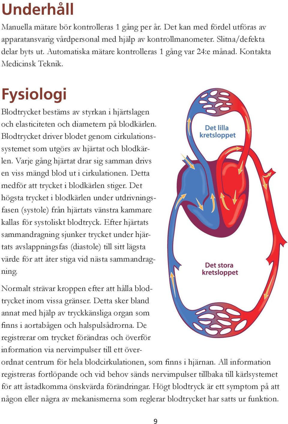 Blodtrycket driver blodet genom cirkulationssystemet som utgörs av hjärtat och blodkärlen. Varje gång hjärtat drar sig samman drivs en viss mängd blod ut i cirkulationen.