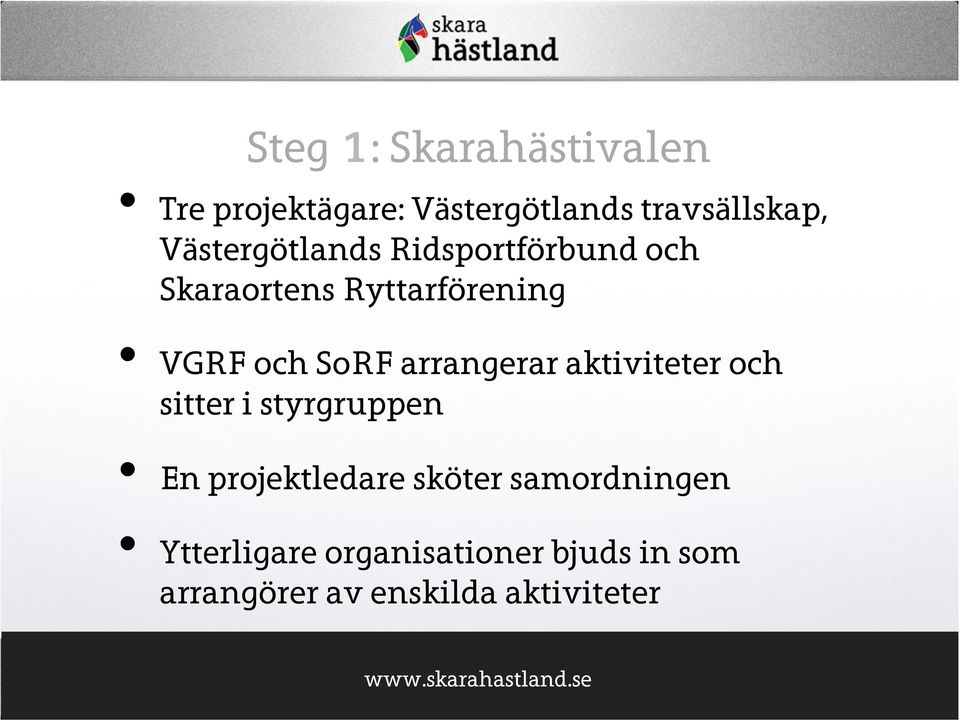 arrangerar aktiviteter och sitter i styrgruppen En projektledare sköter