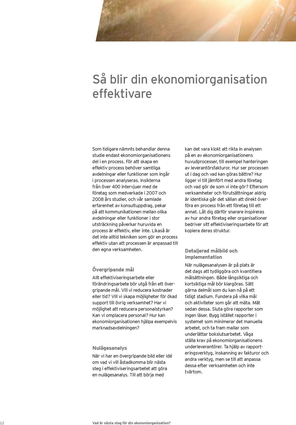 Insikterna från över 400 intervjuer med de företag som medverkade i 2007 och 2008 års studier, och vår samlade erfarenhet av konsultuppdrag, pekar på att kommunikationen mellan olika avdelningar