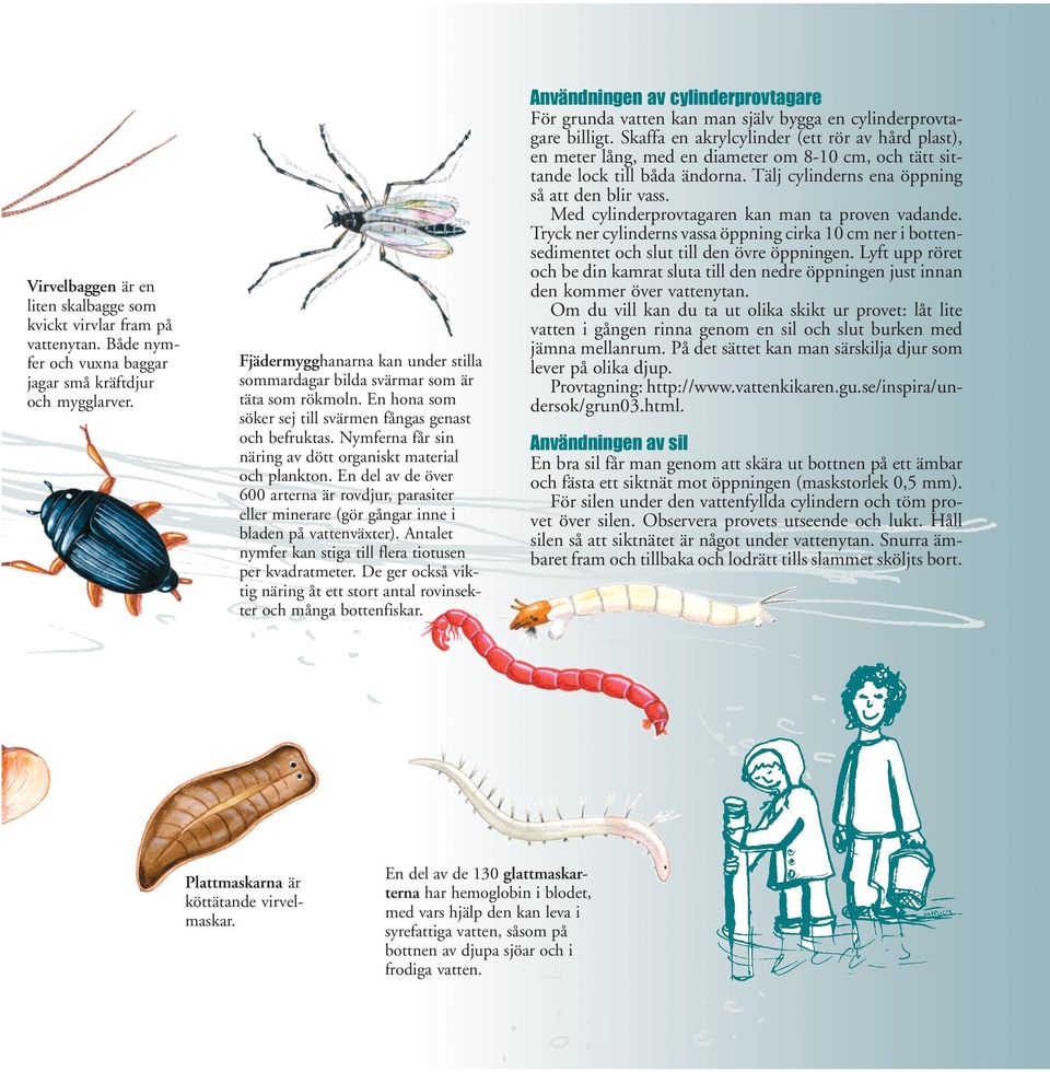 Nymferna får sin näring av dött organiskt material och plankton. En del av de över 600 arterna är rovdjur, parasiter eller minerare (gör gångar inne i bladen på vattenväxter).