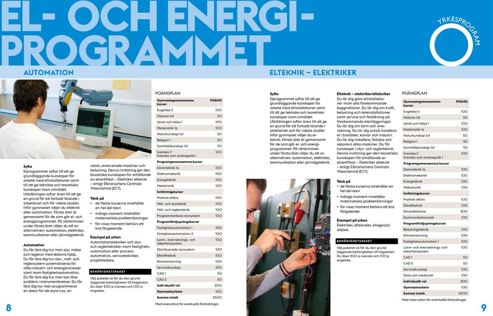 Första året är gemensamt för de som går el- och energiprogrammet. På vårterminen under första året väljer du ett av alternativen: automation, elektriker, kommunikation eller järnvägsteknik.