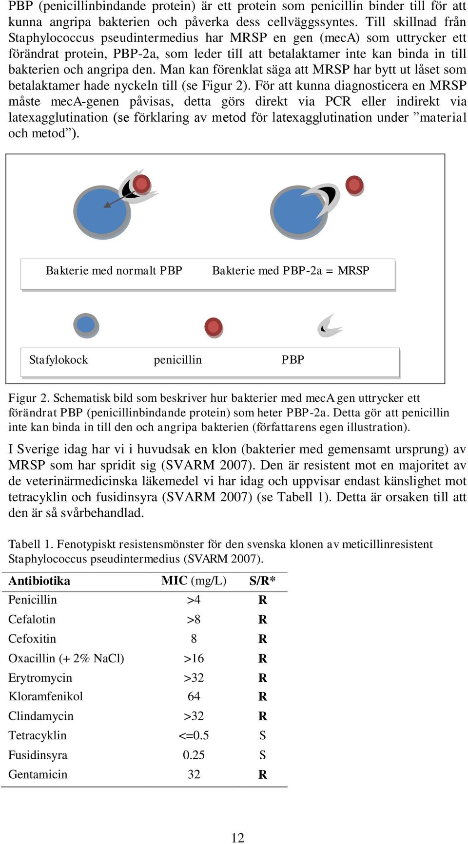 Man kan förenklat säga att MRSP har bytt ut låset som betalaktamer hade nyckeln till (se Figur 2).