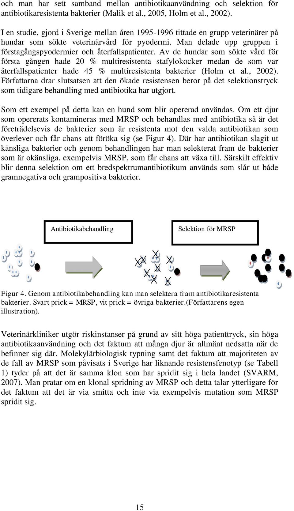 Av de hundar som sökte vård för första gången hade 20 % multiresistenta stafylokocker medan de som var återfallspatienter hade 45 % multiresistenta bakterier (Holm et al., 2002).