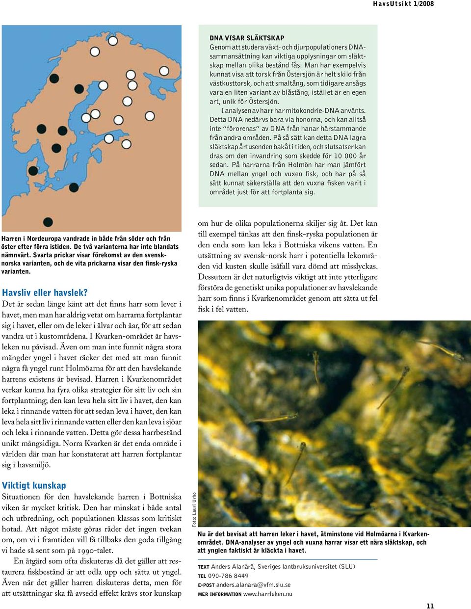 Östersjön. I analysen av harr har mitokondrie-dna använts. Detta DNA nedärvs bara via honorna, och kan alltså inte förorenas av DNA från hanar härstammande från andra områden.