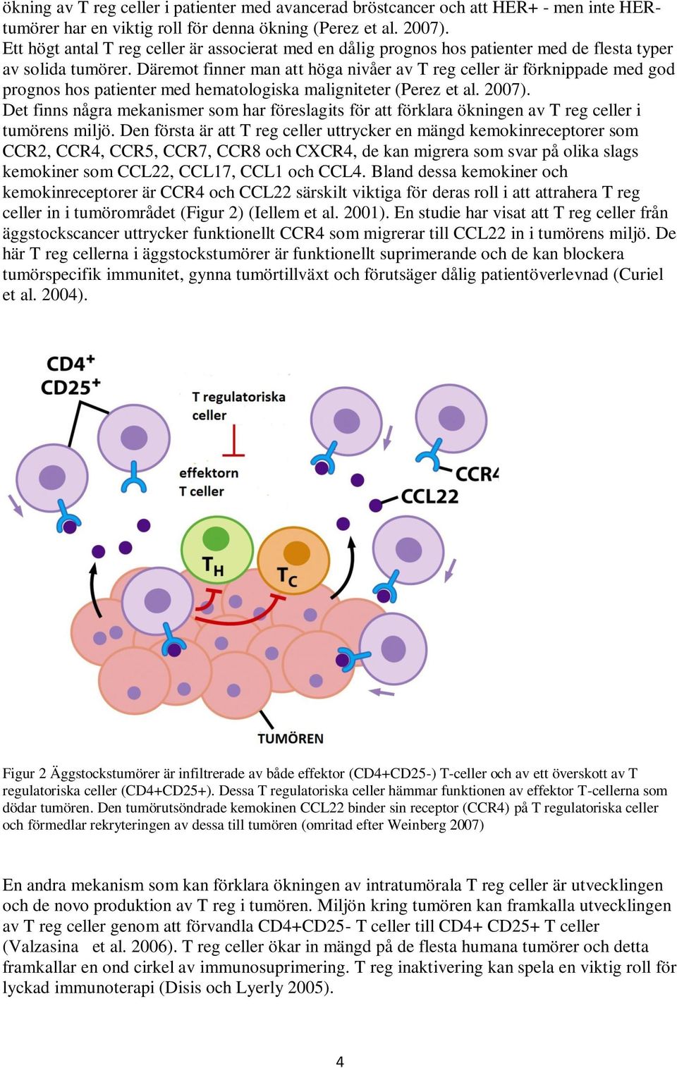 Däremot finner man att höga nivåer av T reg celler är förknippade med god prognos hos patienter med hematologiska maligniteter (Perez et al. 2007).