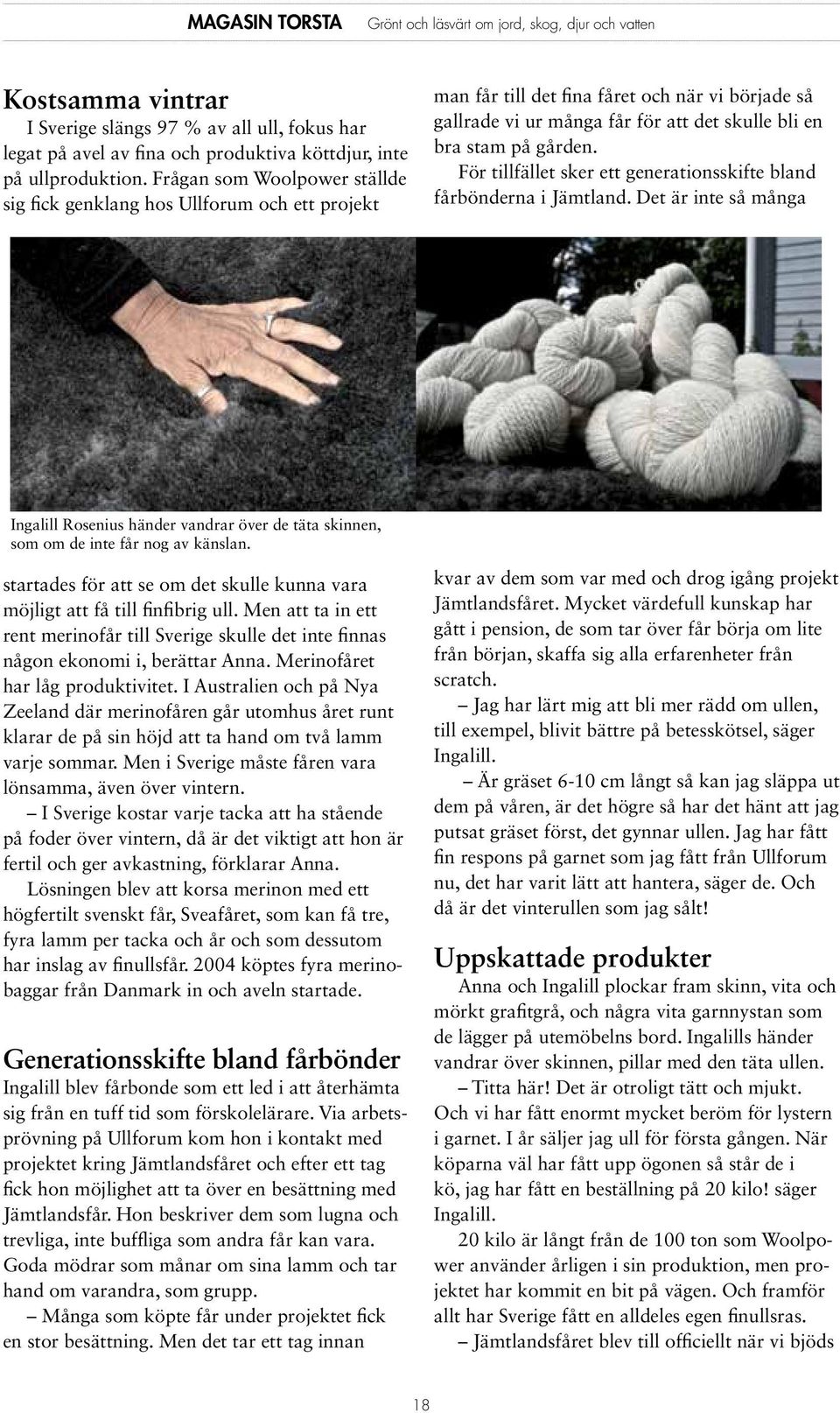 För tillfället sker ett generationsskifte bland fårbönderna i Jämtland. Det är inte så många Ingalill Rosenius händer vandrar över de täta skinnen, som om de inte får nog av känslan.