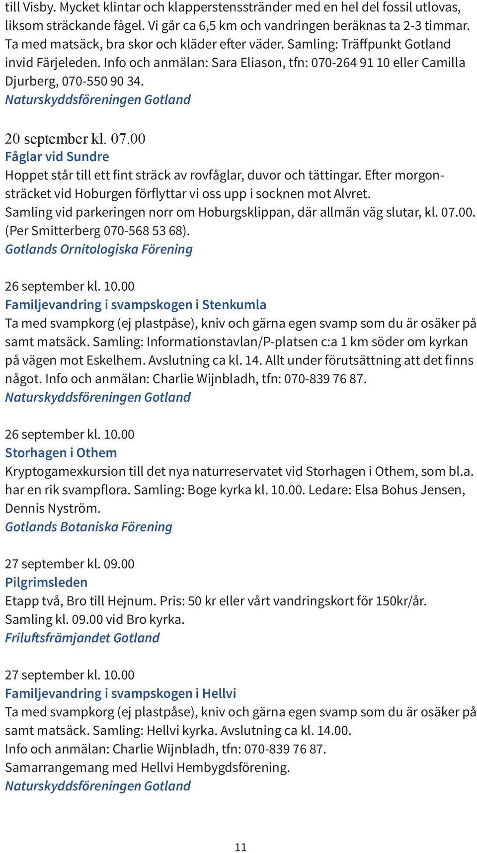 20 september kl. 07.00 Fåglar vid Sundre Hoppet står till ett fint sträck av rovfåglar, duvor och tättingar. Efter morgonsträcket vid Hoburgen förflyttar vi oss upp i socknen mot Alvret.