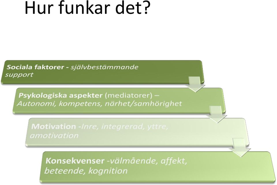 det?