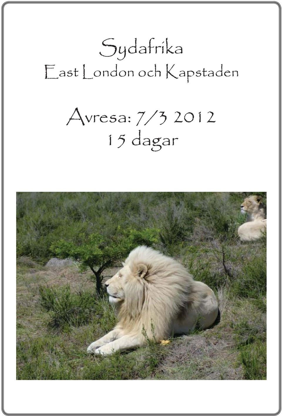 Kapstaden