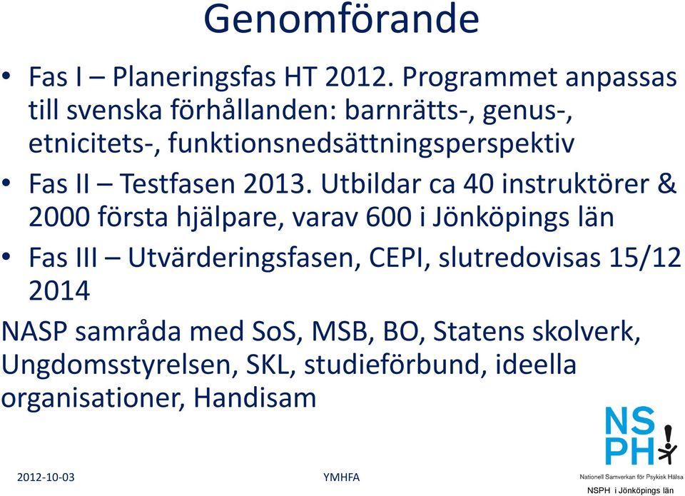 funktionsnedsättningsperspektiv Fas II Testfasen 2013.