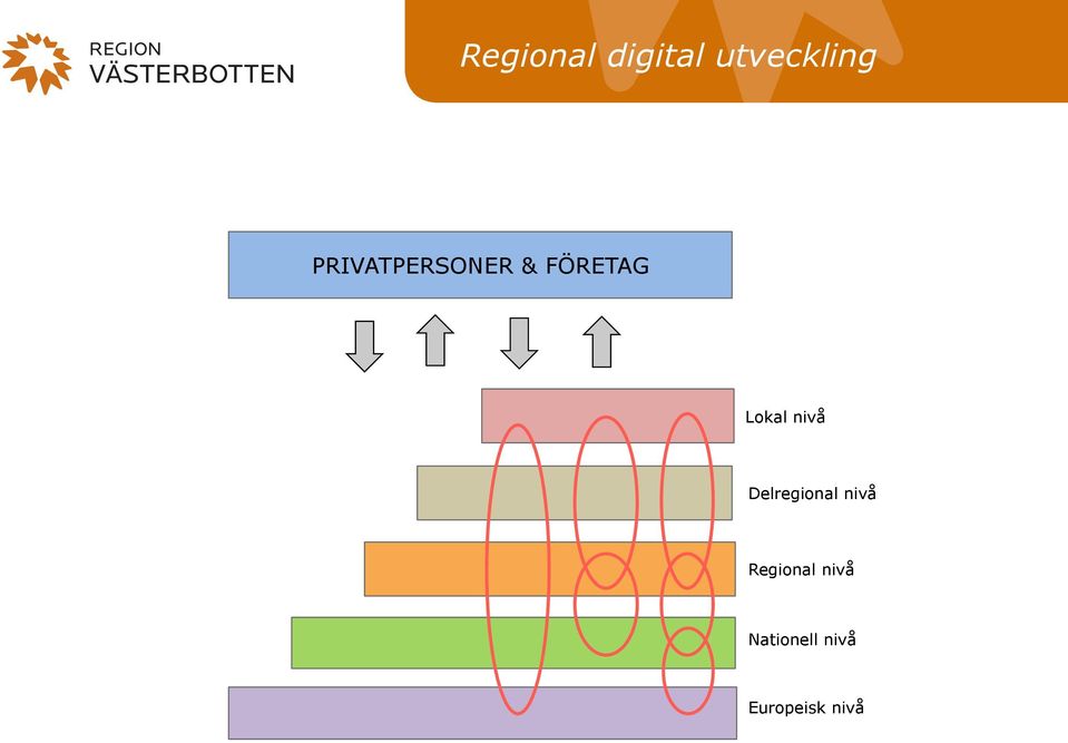 Delregional nivå