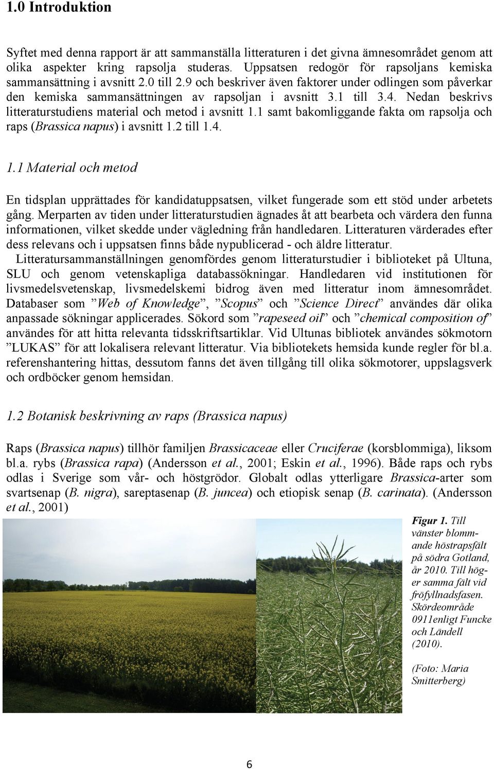 Nedan beskrivs litteraturstudiens material och metod i avsnitt 1.1 samt bakomliggande fakta om rapsolja och raps (Brassica napus) i avsnitt 1.2 till 1.4. 1.1 Material och metod En tidsplan upprättades för kandidatuppsatsen, vilket fungerade som ett stöd under arbetets gång.