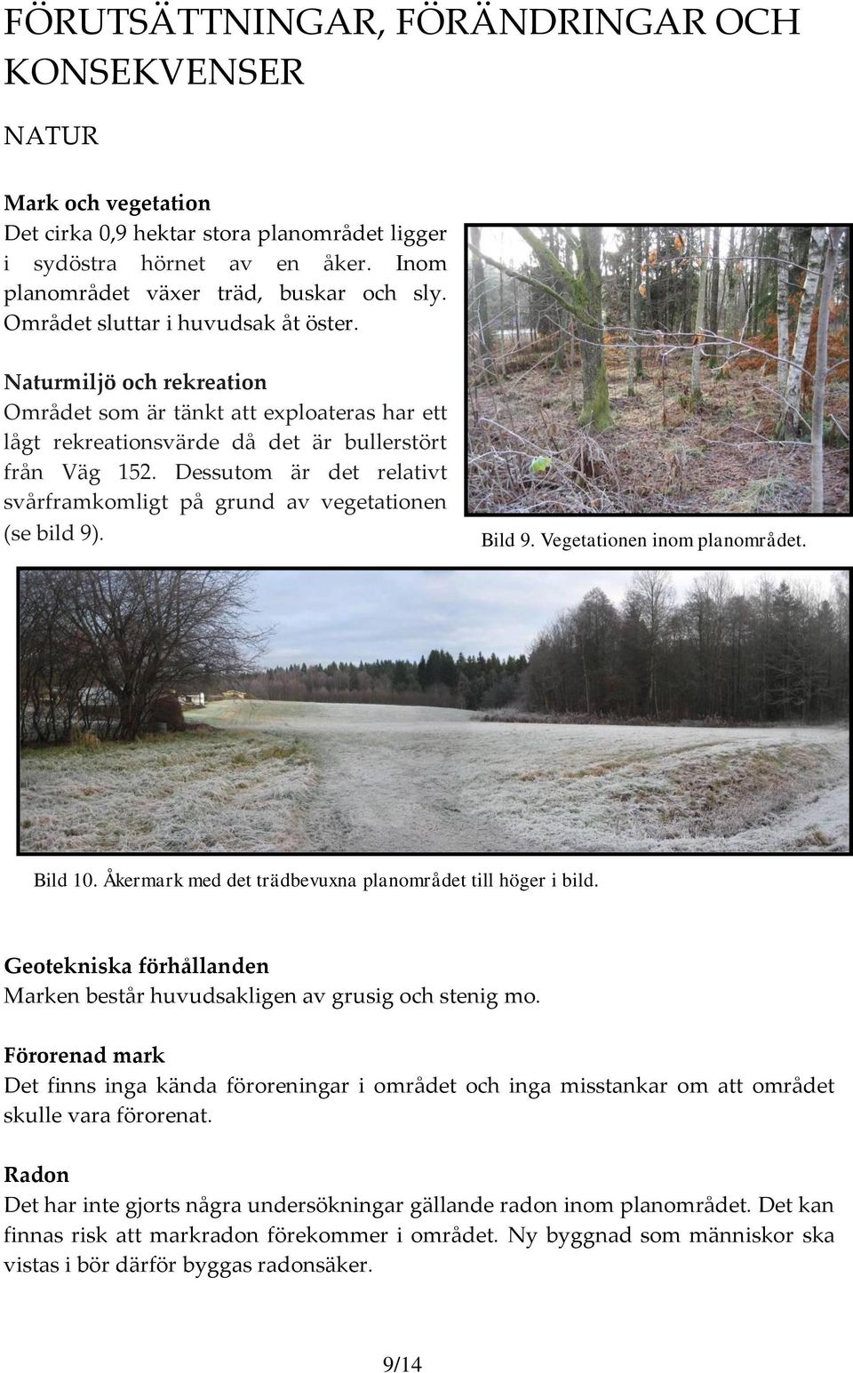 Dessutom är det relativt svårframkomligt på grund av vegetationen (se bild 9). Bild 9. Vegetationen inom planområdet. Bild 10. Åkermark med det trädbevuxna planområdet till höger i bild.