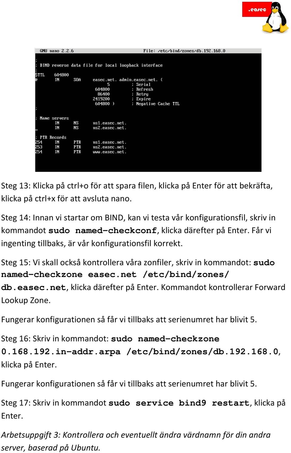 Steg 15: Vi skall också kontrollera våra zonfiler, skriv in kommandot: sudo named-checkzone easec.net /etc/bind/zones/ db.easec.net, klicka därefter på Enter.