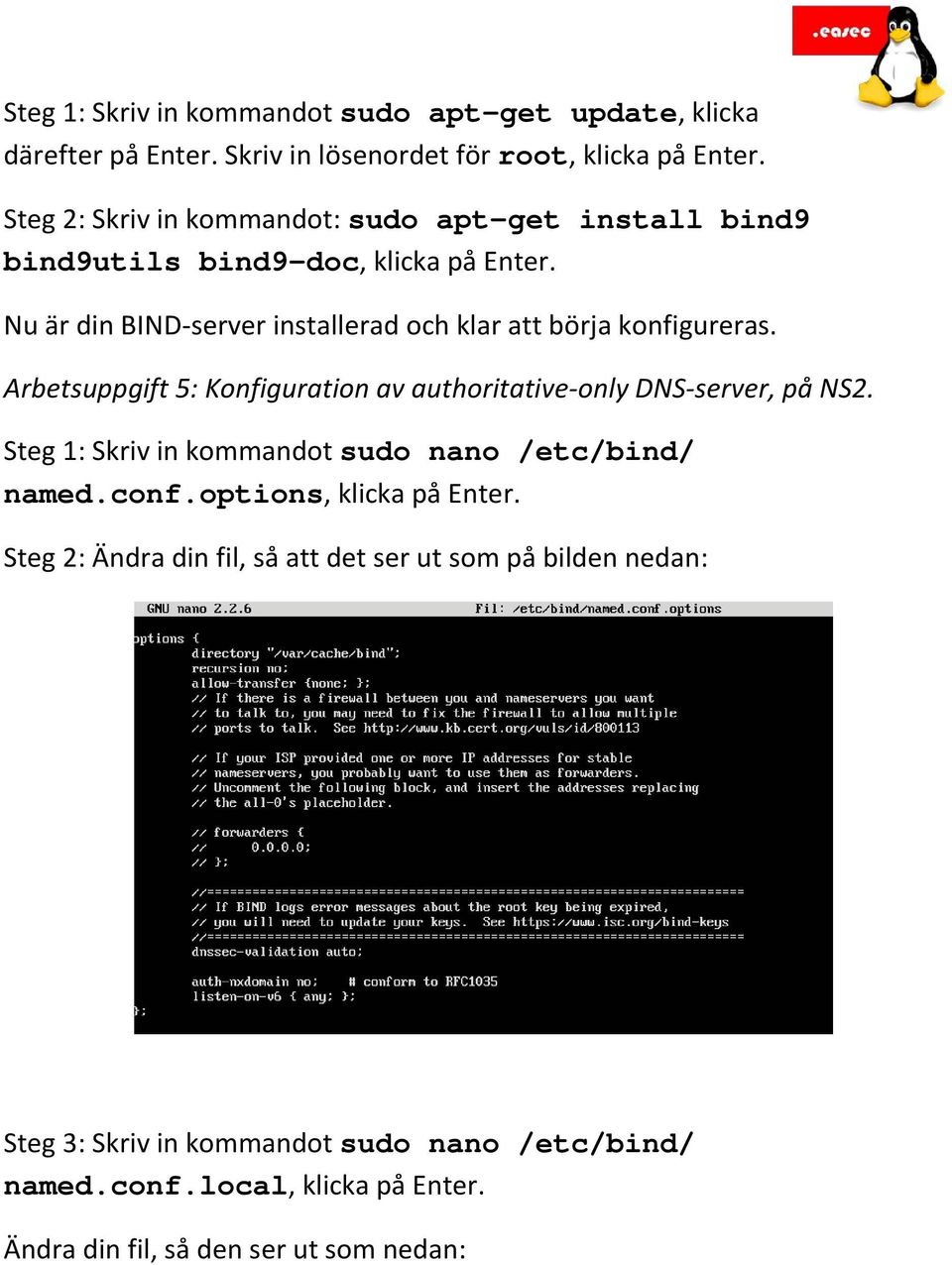 Nu är din BIND-server installerad och klar att börja konfigureras. Arbetsuppgift 5: Konfiguration av authoritative-only DNS-server, på NS2.