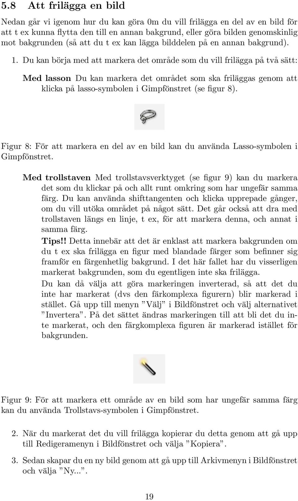 Du kan börja med att markera det område som du vill frilägga på två sätt: Med lasson Du kan markera det området som ska friläggas genom att klicka på lasso-symbolen i Gimpfönstret (se figur 8).