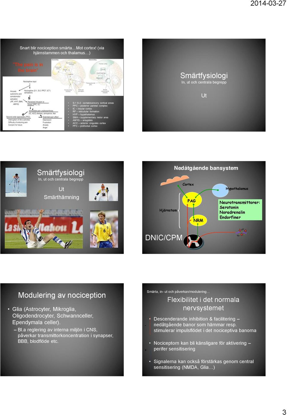 reticulular formation HYP hypathalamus SMA supplementary motor area AMYG amygdala ACC anterior cingulate cortex PFC prefrontal cortex Smärtfysiologi In, ut och centrala begrepp Ut Smärthämning