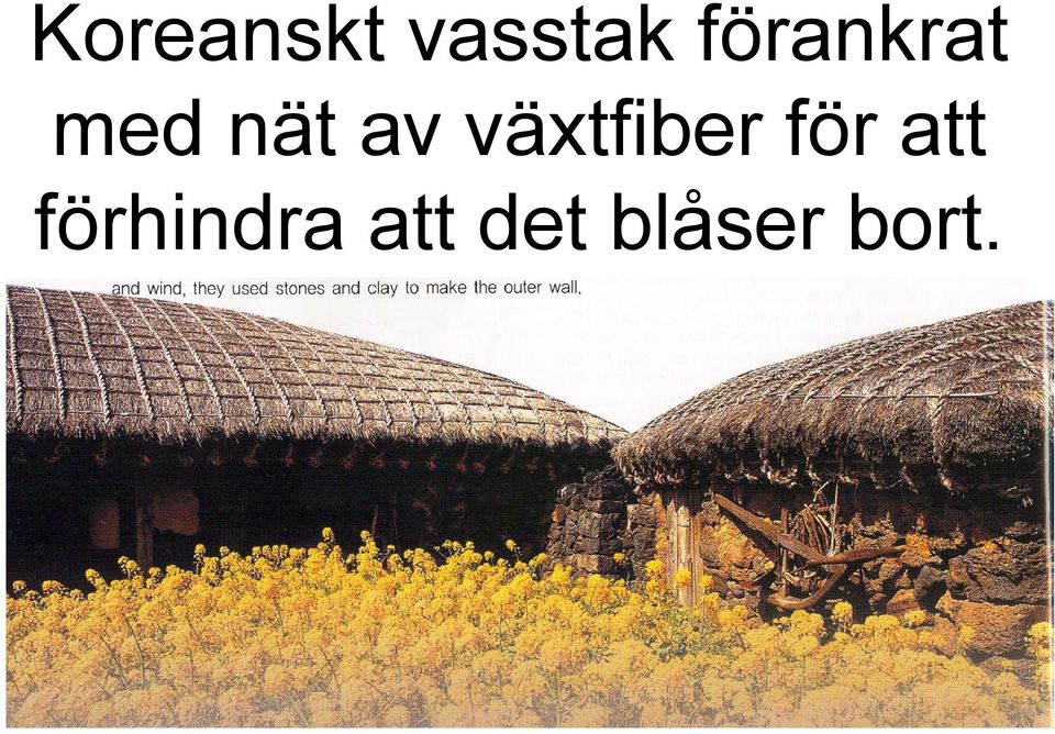 växtfiber för att