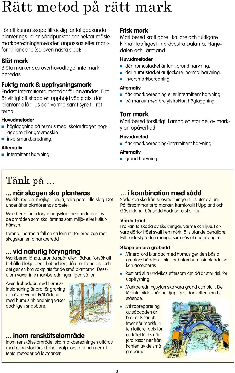 Det är viktigt att skapa e upphöjd växtplats, där platora får ljus och värme samt syre till röttera. Huvudmetoder högläggig på humus med skotardrage högläggare eller grävmaski. iversmarkberedig.