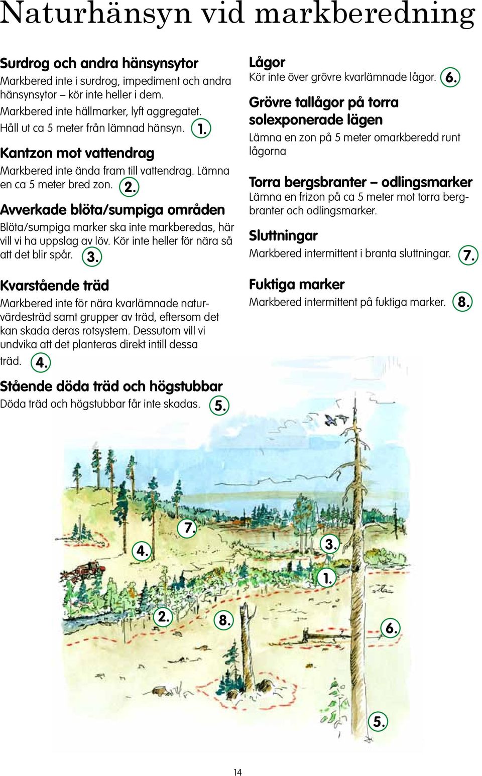 Avverkade blöta/sumpiga område Blöta/sumpiga marker ska ite markberedas, här vill vi ha uppslag av löv. Kör ite heller för ära så att det blir spår. 3. 1. Lågor Kör ite över grövre kvarlämade lågor.
