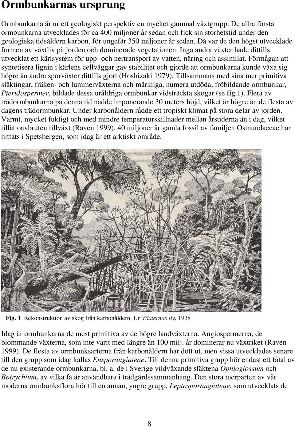 Då var de den högst utvecklade formen av växtliv på jorden och dominerade vegetationen.