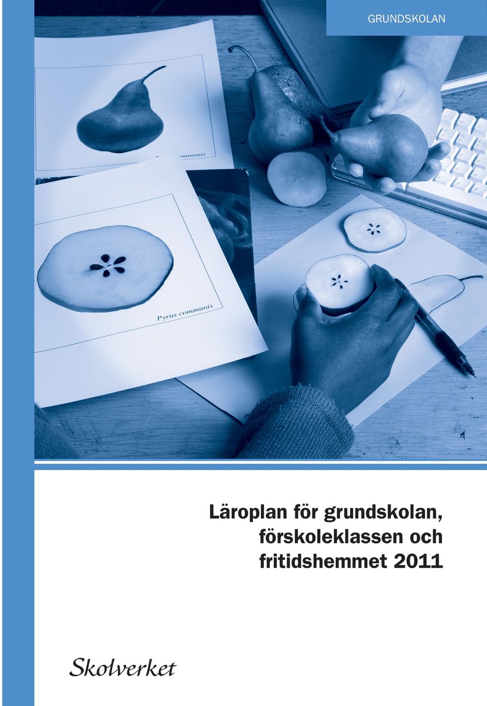 Läroplan för grundskolan,  Skolverket ISBN: