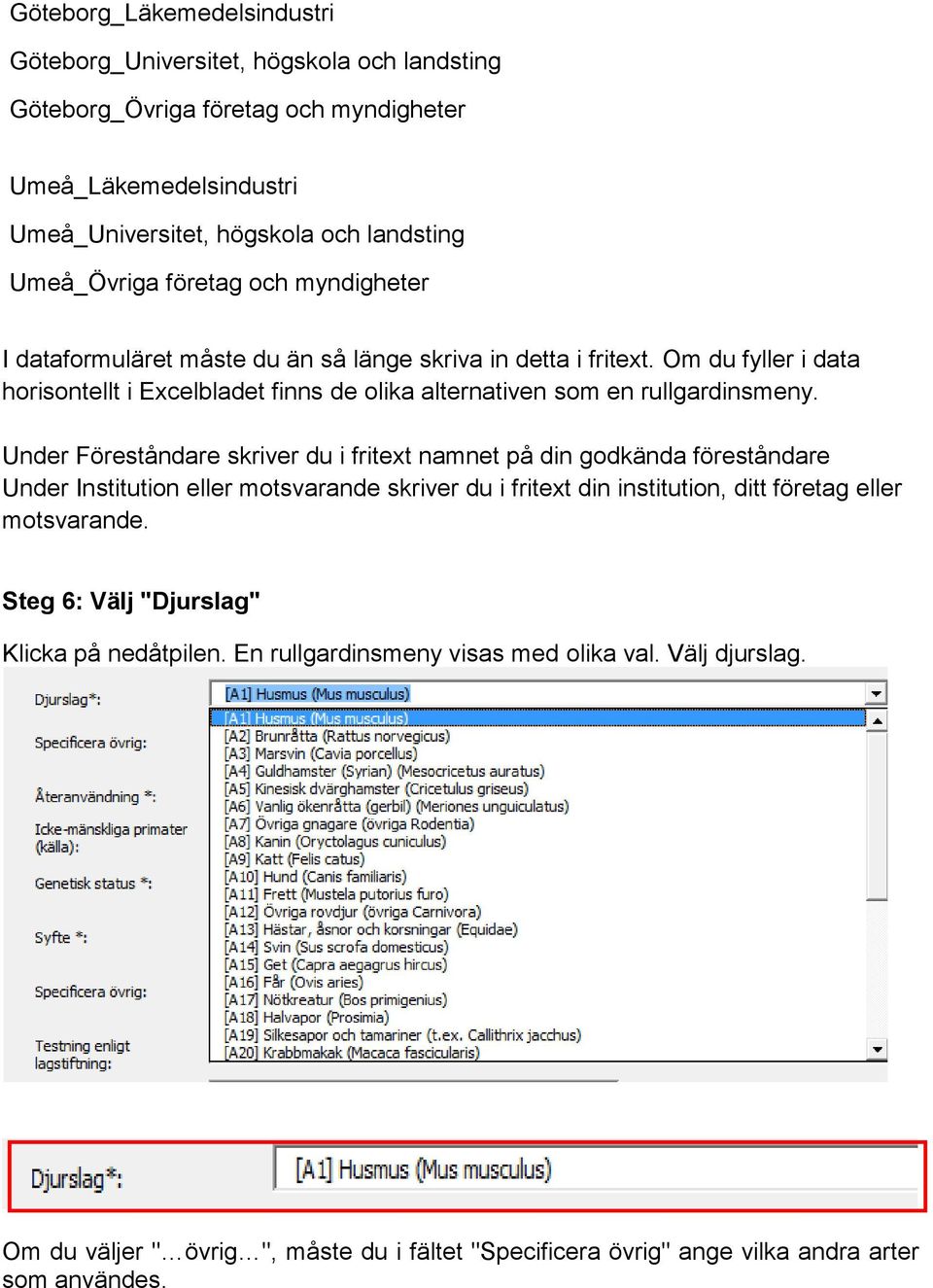 Under Föreståndare skriver du i fritext namnet på din godkända föreståndare Under Institution eller motsvarande skriver du i fritext din institution, ditt företag eller motsvarande.