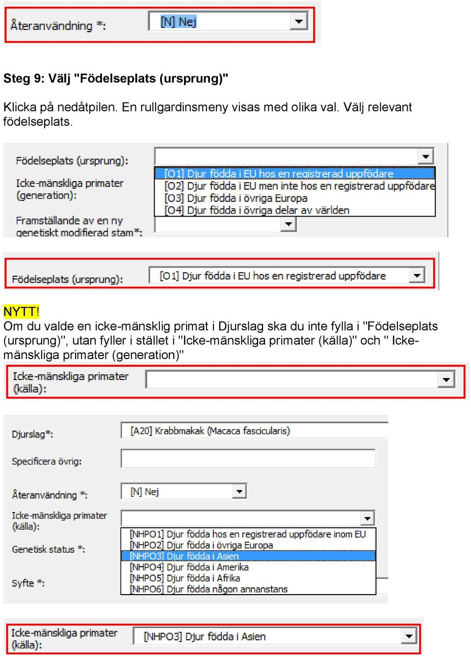 Om du valde en icke-mänsklig primat i Djurslag ska du inte fylla i "Födelseplats