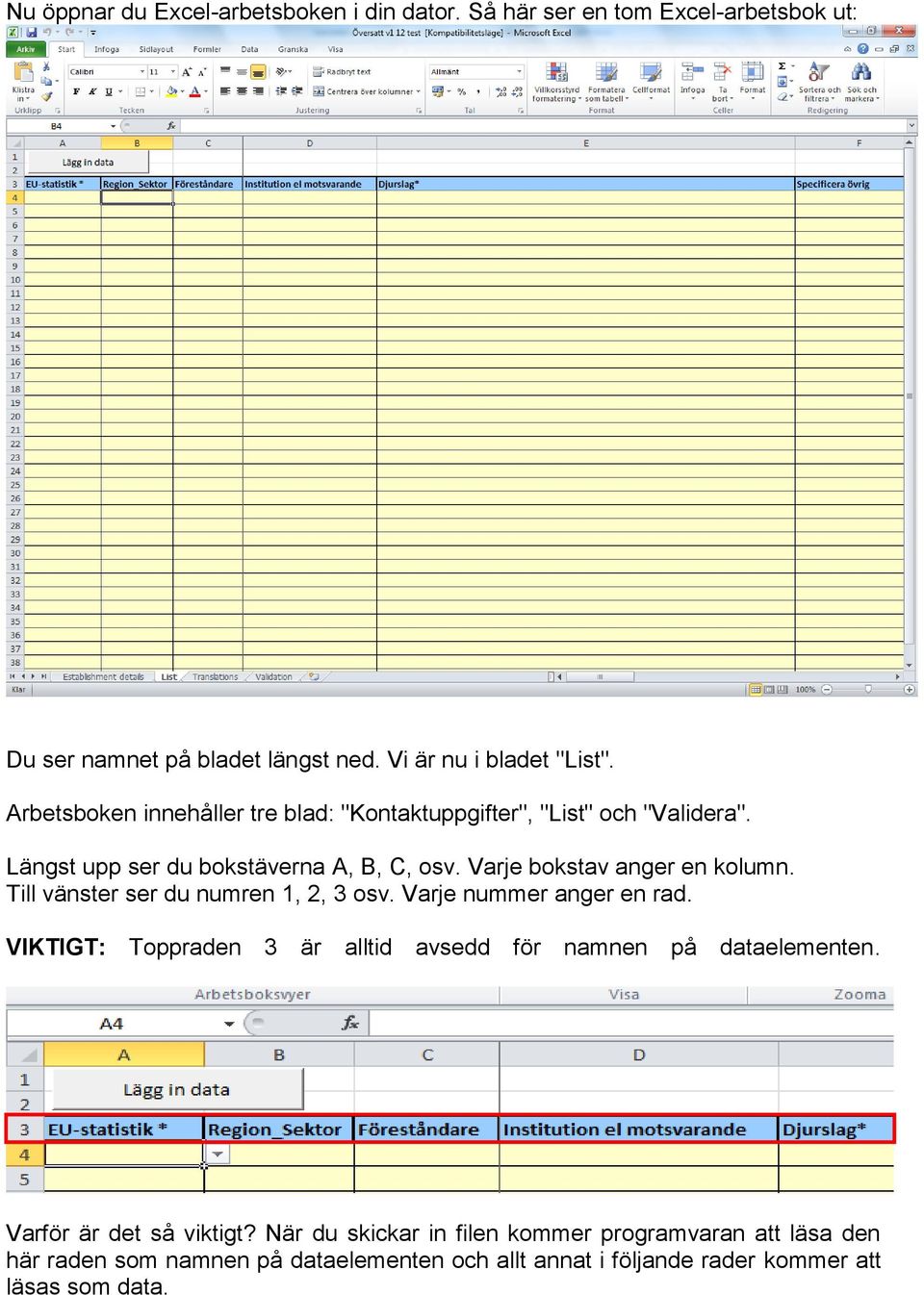 Till vänster ser du numren 1, 2, 3 osv. Varje nummer anger en rad. VIKTIGT: Toppraden 3 är alltid avsedd för namnen på dataelementen.