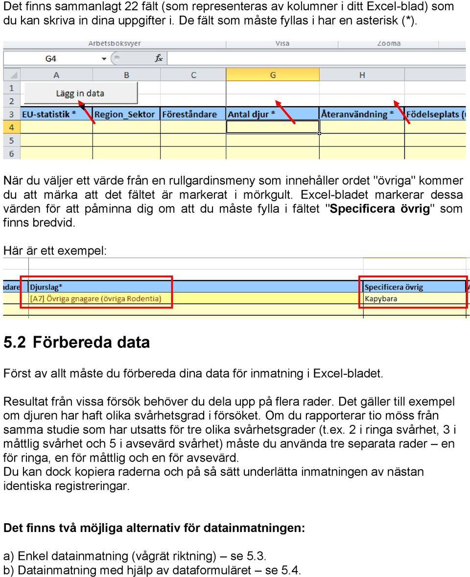 Excel-bladet markerar dessa värden för att påminna dig om att du måste fylla i fältet "Specificera övrig" som finns bredvid. Här är ett exempel: 5.