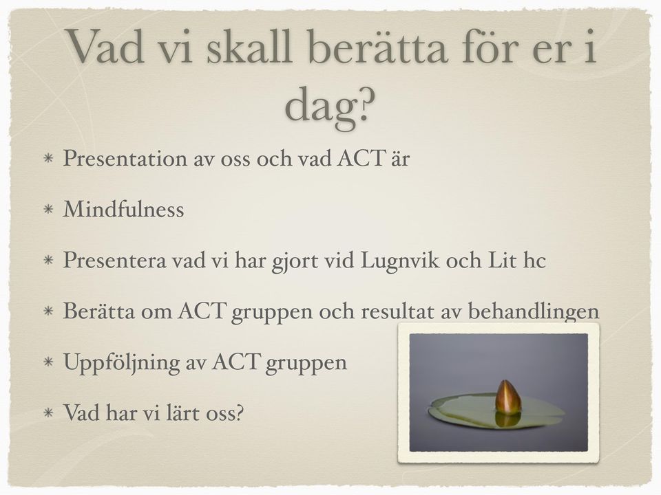 vad vi har gjort vid Lugnvik och Lit hc Berätta om ACT