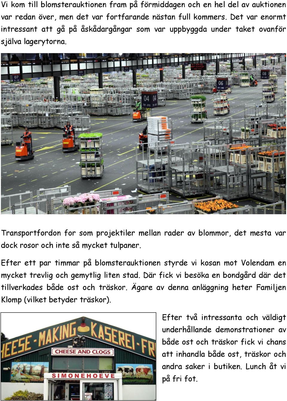 Transportfordon for som projektiler mellan rader av blommor, det mesta var dock rosor och inte så mycket tulpaner.