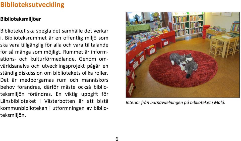 Genom omvärldsanalys och utvecklingsprojekt pågår en ständig diskussion om bibliotekets olika roller.