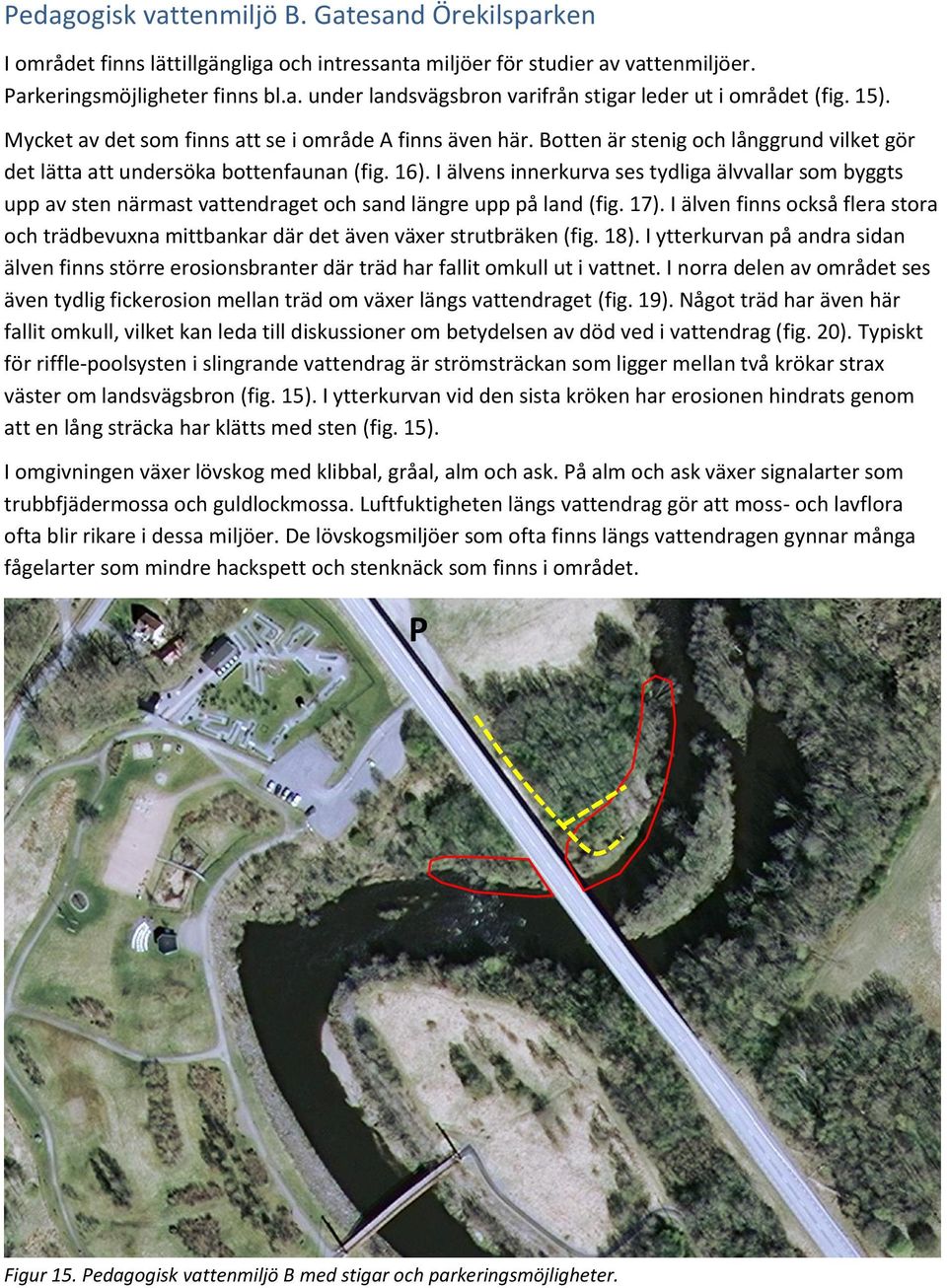 I älvens innerkurva ses tydliga älvvallar som byggts upp av sten närmast vattendraget och sand längre upp på land (fig. 17).